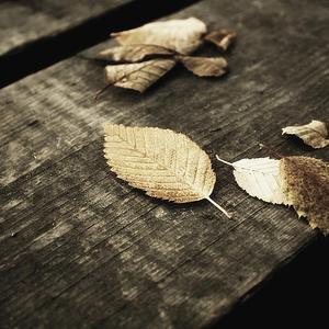 被前后夹击同时插进里面喷水视频
